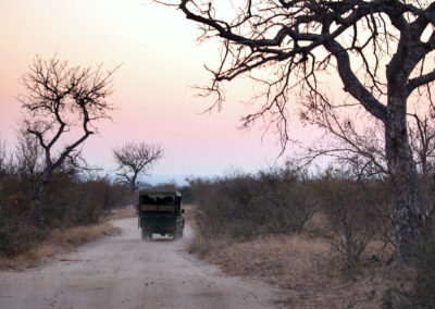 Morning Game Drive - Greater Kruger National Park, South Africa