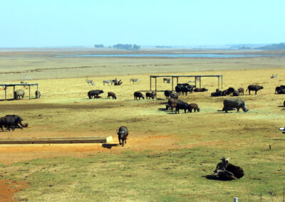 Petroport Alzu, South Africa