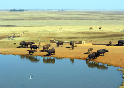 Petroport Alzu, South Africa