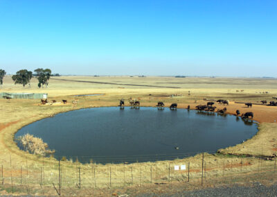 Petroport Alzu, South Africa