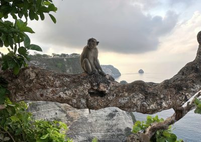 Kelingking Beach, Nusa Penida