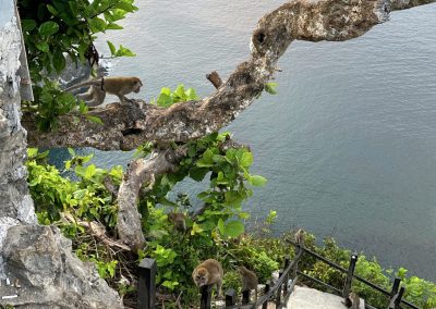 Kelingking Beach, Nusa Penida