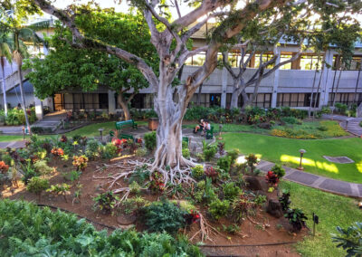 Daniel K. Inouye International Airport - Honolulu, Oahu