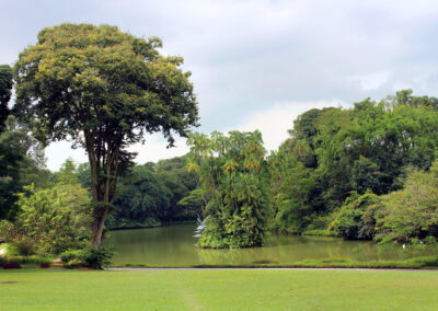 Botanic Gardens, Singapore