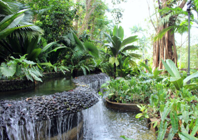 Botanic Gardens, Singapore