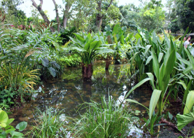 Botanic Gardens, Singapore