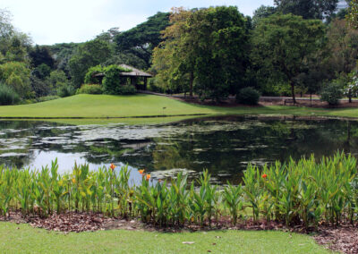 Botanic Gardens, Singapore