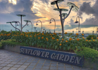 Sunflower Garden - Changi Airport, Singapore