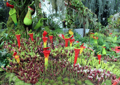 Cloud Forest, Gardens by the Bay, Singapore