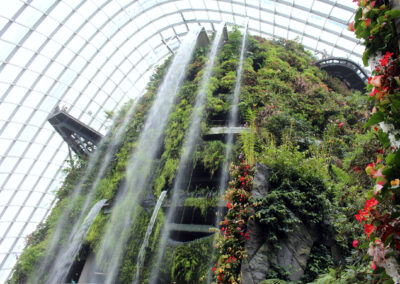 Cloud Forest, Gardens by the Bay, Singapore