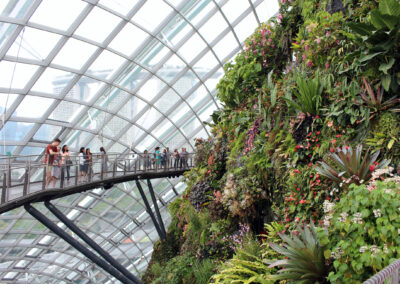 Cloud Forest, Gardens by the Bay, Singapore