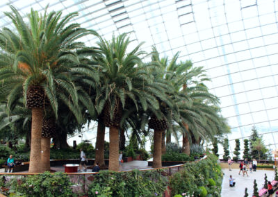 Flower Dome, Gardens by the Bay, Singapore