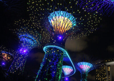 Garden Rhapsody - Supertree Grove, Gardens by the Bay, Singapore