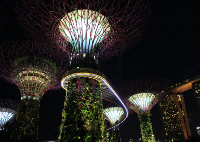 Garden Rhapsody - Supertree Grove, Gardens by the Bay, Singapore