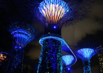 Garden Rhapsody - Supertree Grove, Gardens by the Bay, Singapore