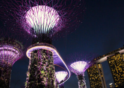 Garden Rhapsody - Supertree Grove, Gardens by the Bay, Singapore