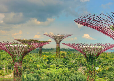 OCBC Skyway, Gardens by the Bay, Singapore