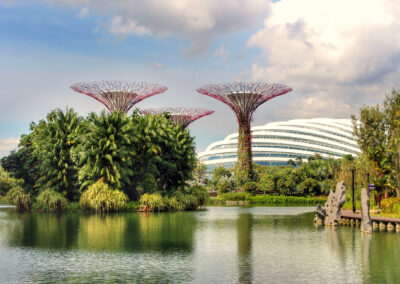 Supertree Grove, Gardens by the Bay, Singapore