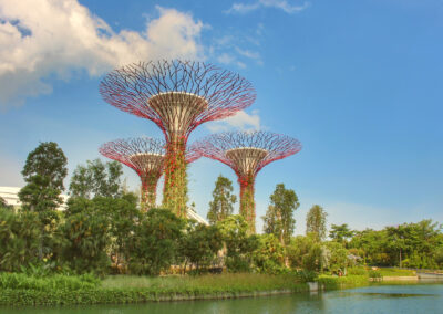 Supertree Grove, Gardens by the Bay, Singapore