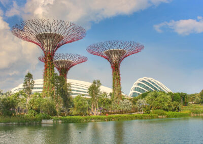 Supertree Grove, Gardens by the Bay, Singapore