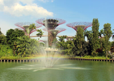 Supertree Grove, Gardens by the Bay, Singapore