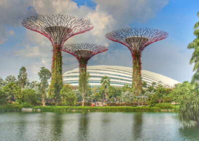 Supertree Grove, Gardens by the Bay, Singapore